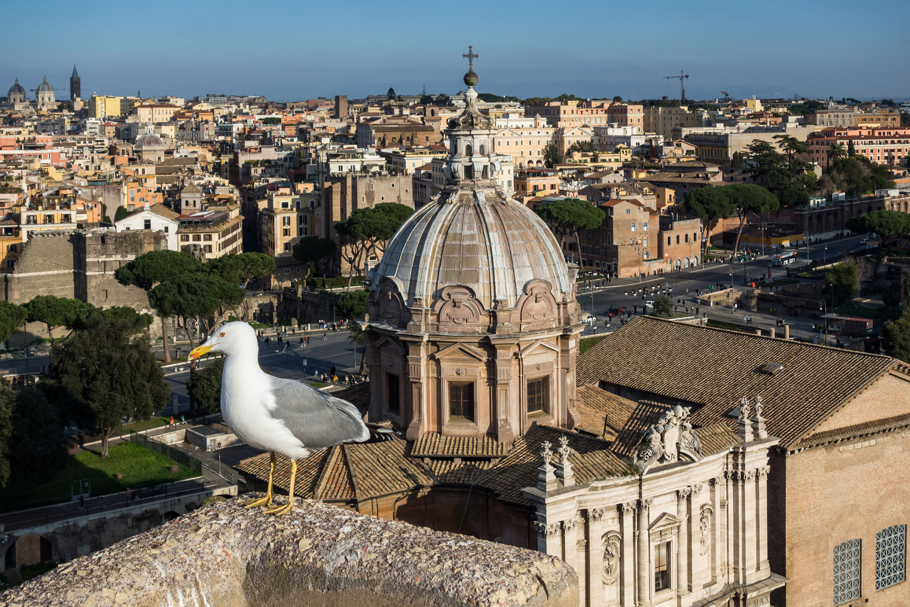 Rome